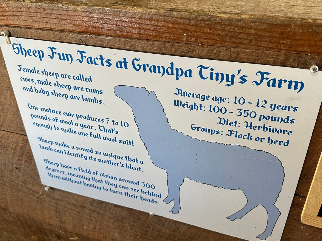 Grandpa Tiny's Farm-弗兰肯默斯必去景点