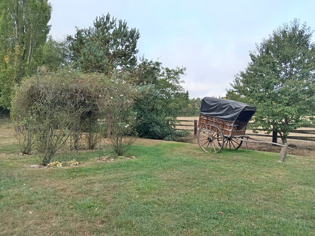 拉图尔葡萄园酒店主图