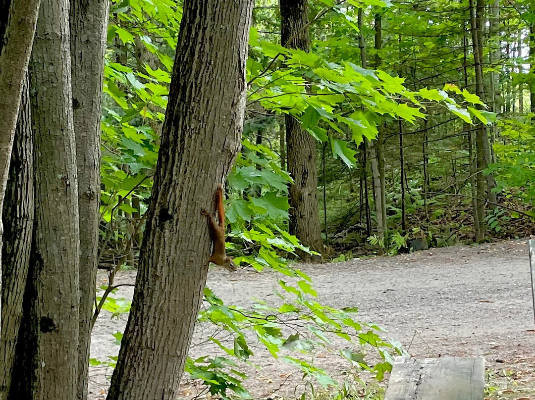 Restoule Provincial Park-Restoule必去景点