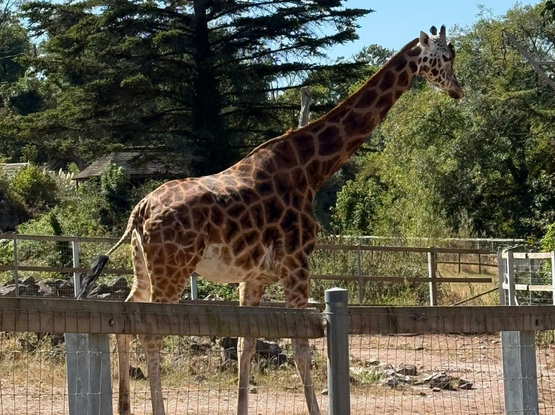 Paignton Zoo Environmental Park-佩恩顿必去景点