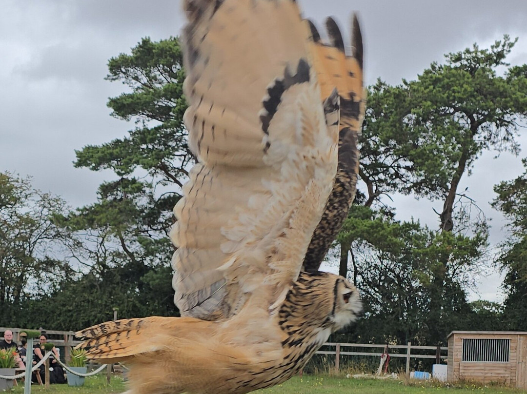 Finkley Down Farm-Andover必去景点
