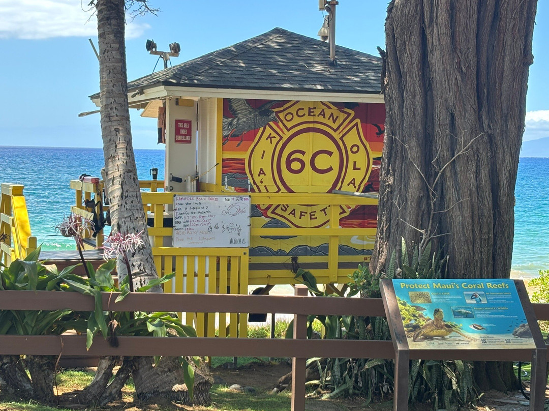 卡玛乐沙滩公园3-基黑必去景点