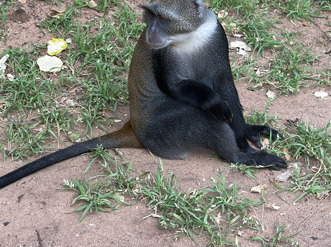 Kenya Safari Con Kassim Luigi-瓦塔木必去景点