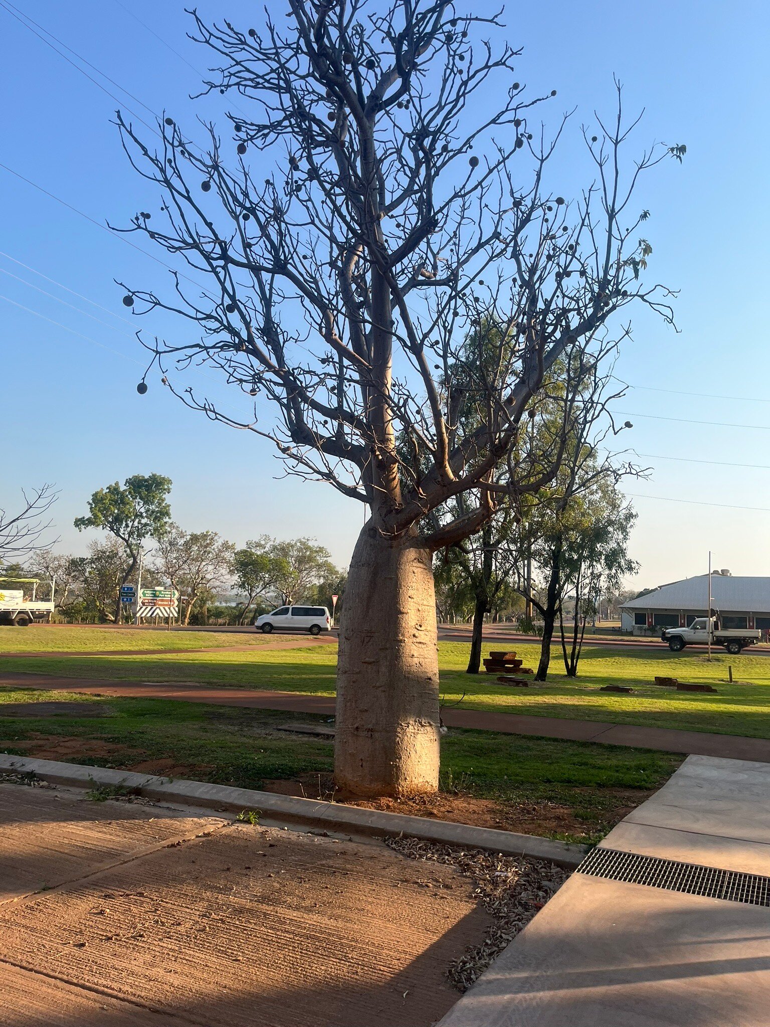 Best Western Cambridge Hotel Kununurra-官方