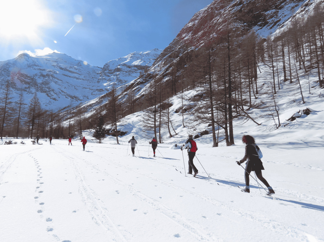 Bessans酒店住宿-La Bessannaise