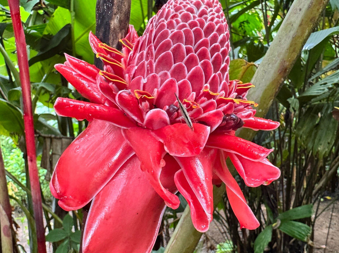 Green Go Costa Rica-利比里亚必去景点