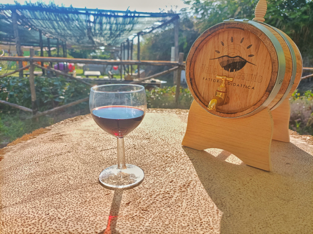 Fattoria Valle del Vesuvio-埃尔科拉诺必去景点