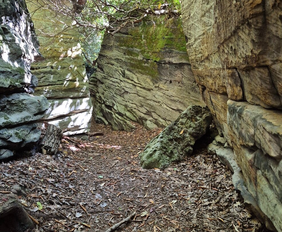 Coopers Rock State Forest-Bruceton Mills必去景点