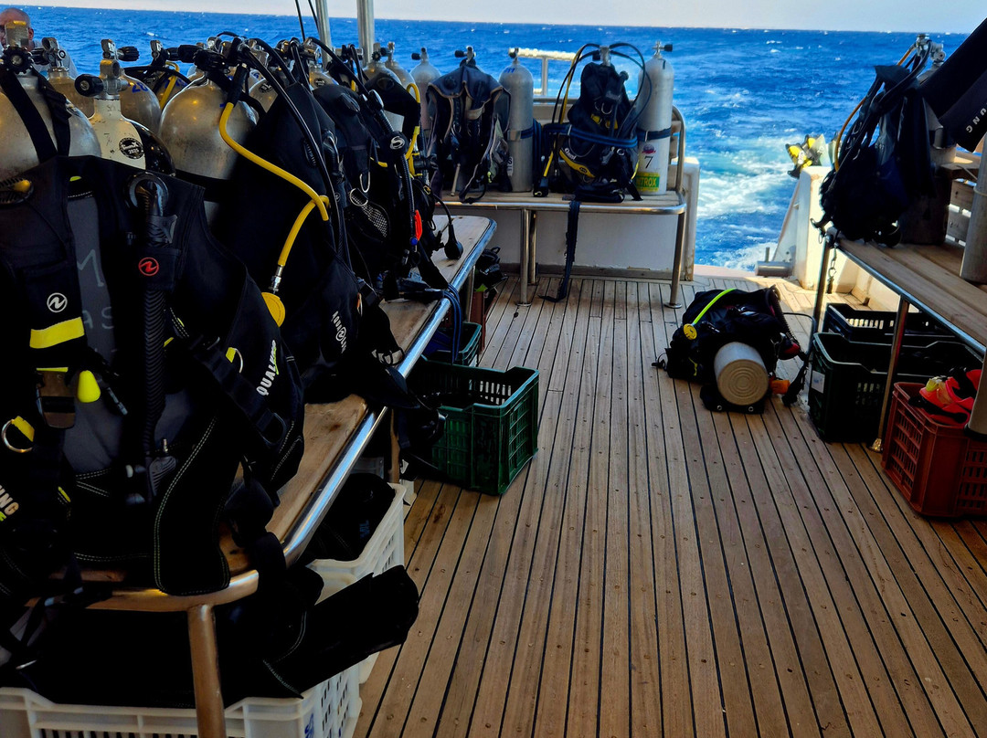 MenaDive-Safaga必去景点