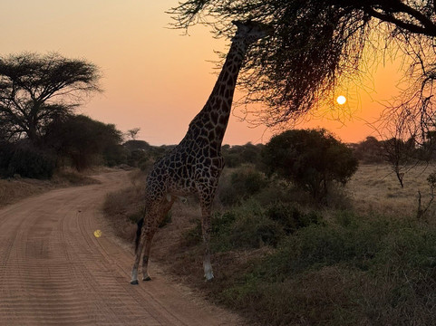 Kenya con Abdul-马林地必去景点