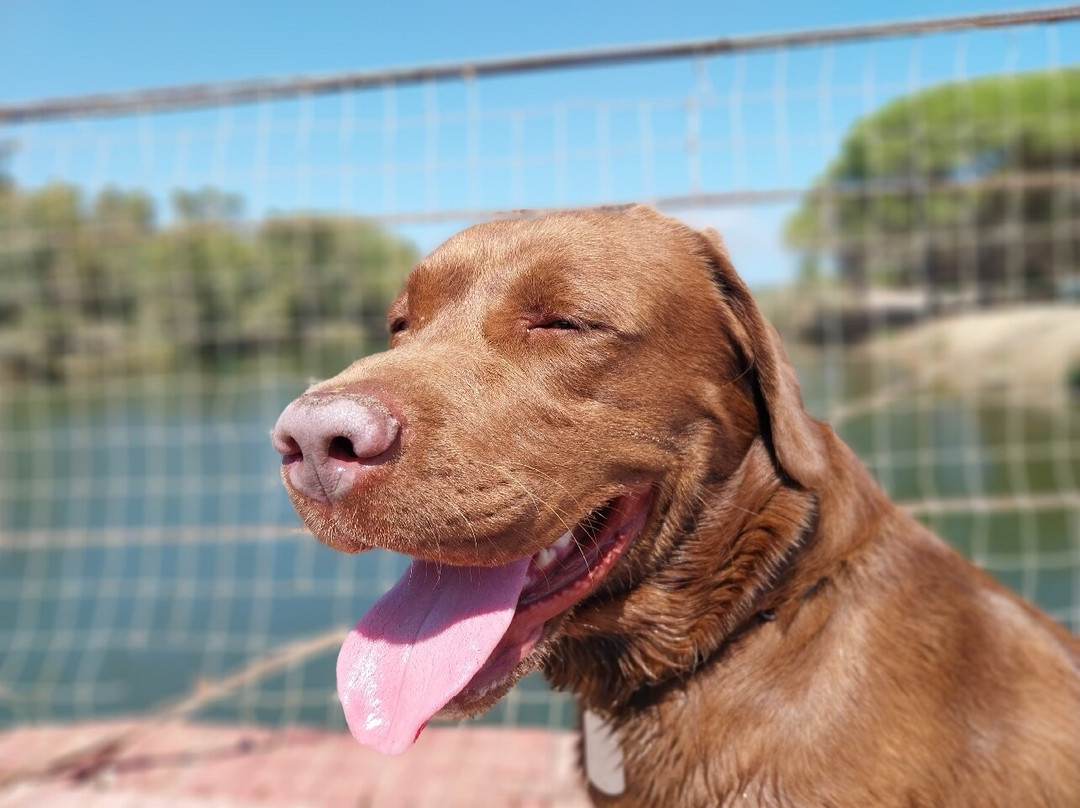 Spiaggia di Su Barone-奥罗塞必去景点