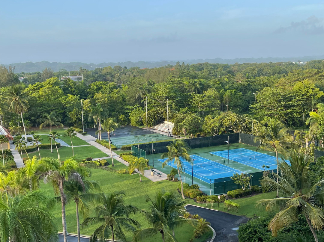 哈西恩德戴尔马尔凯悦酒店主图