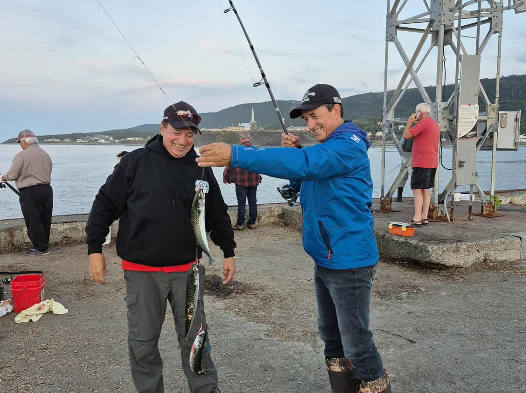 Hotel Motel Grande-Vallee主图