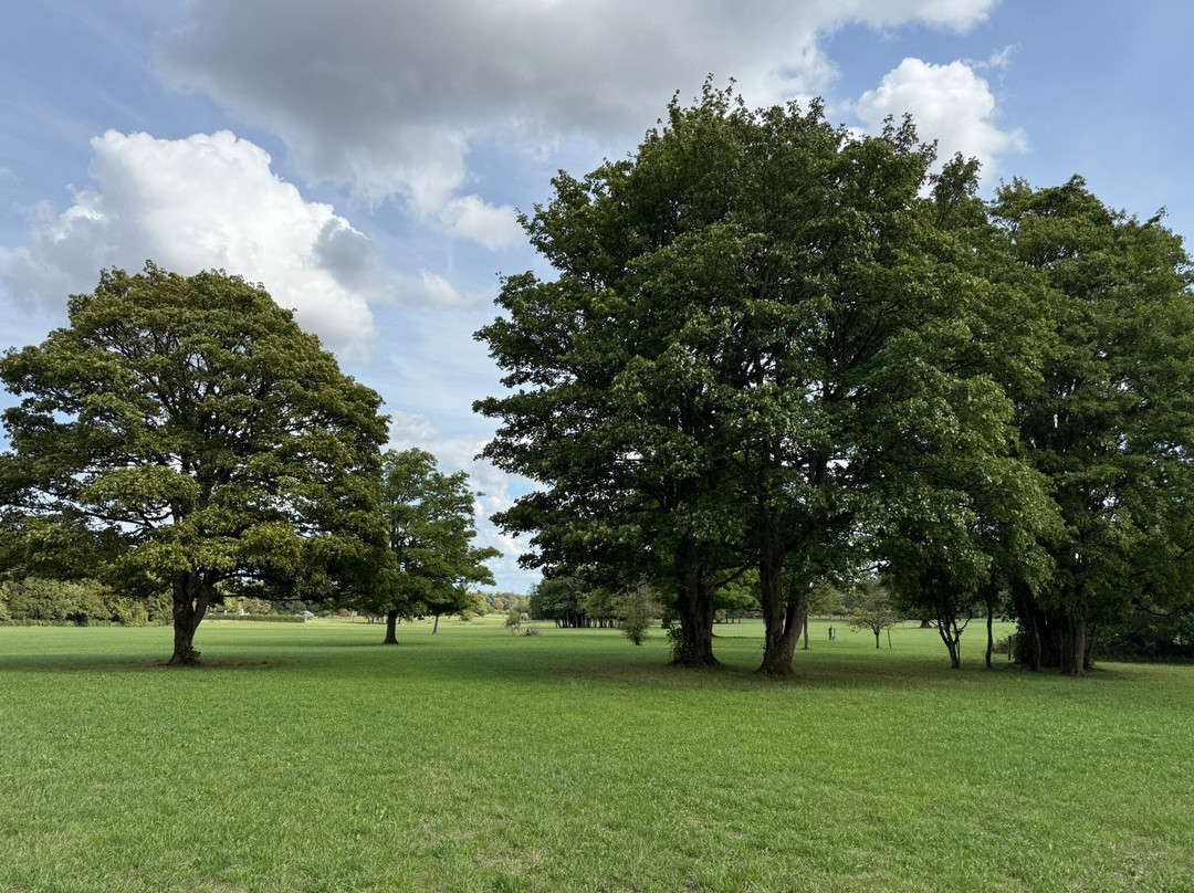 The Bathurst Estate Cirencester Park-赛伦塞斯特必去景点
