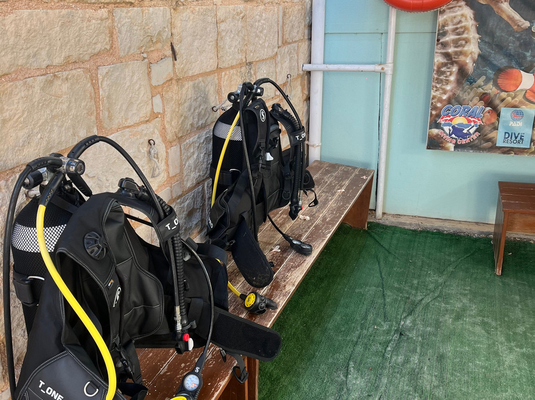 Coral Diving Crete-Anissaras必去景点