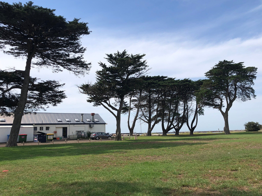 Port Phillip Ferries-墨尔本必去景点
