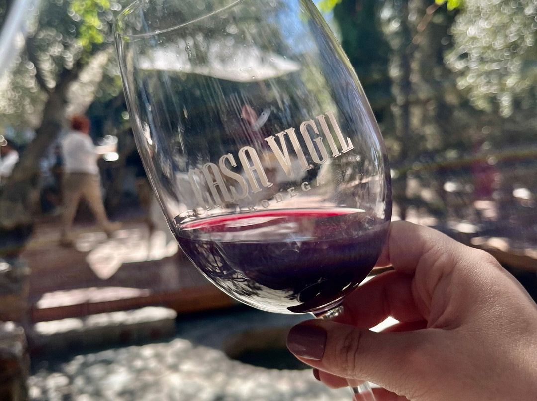 Sun Trip Brasileiros em Mendoza-门多萨必去景点