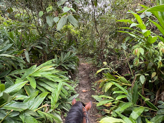 Cabalgatas San Pablo-萨伦托必去景点