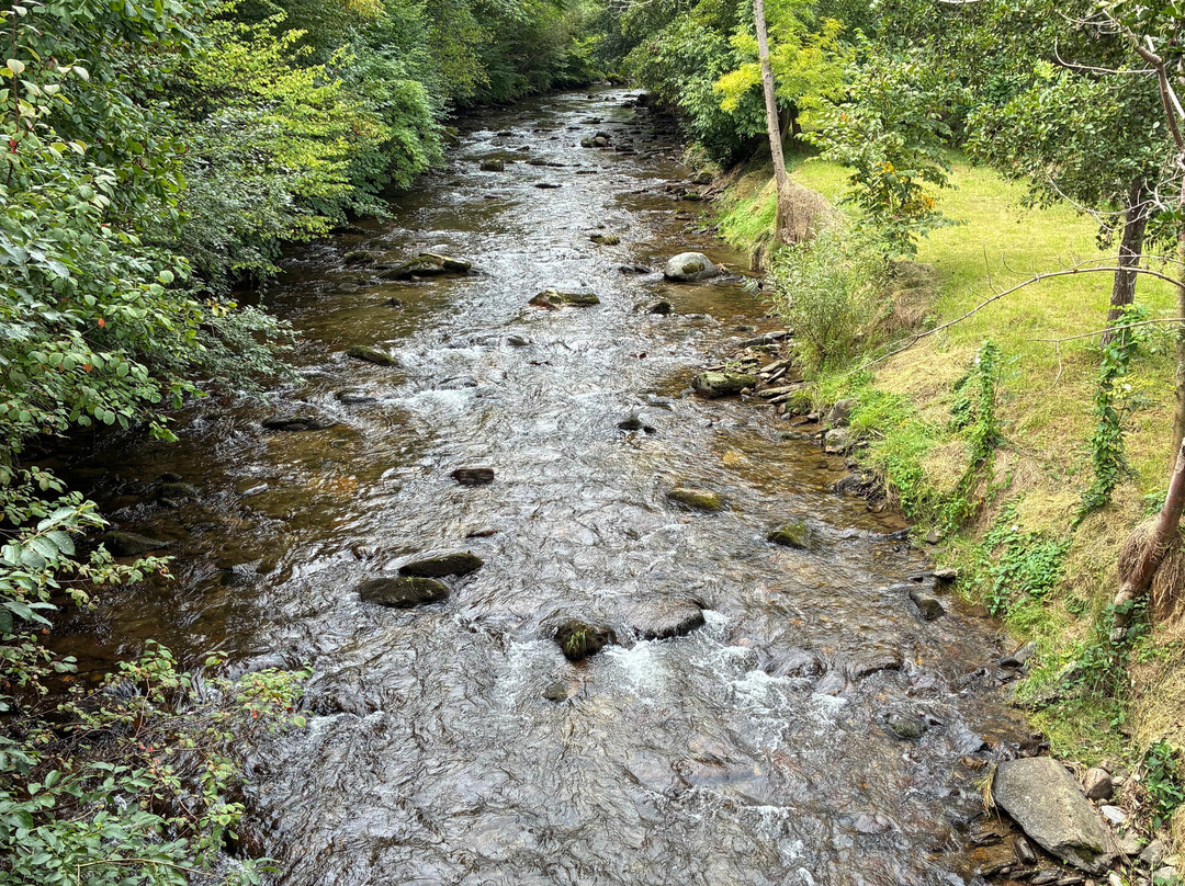 Heilmoorbad Schwanberg主图