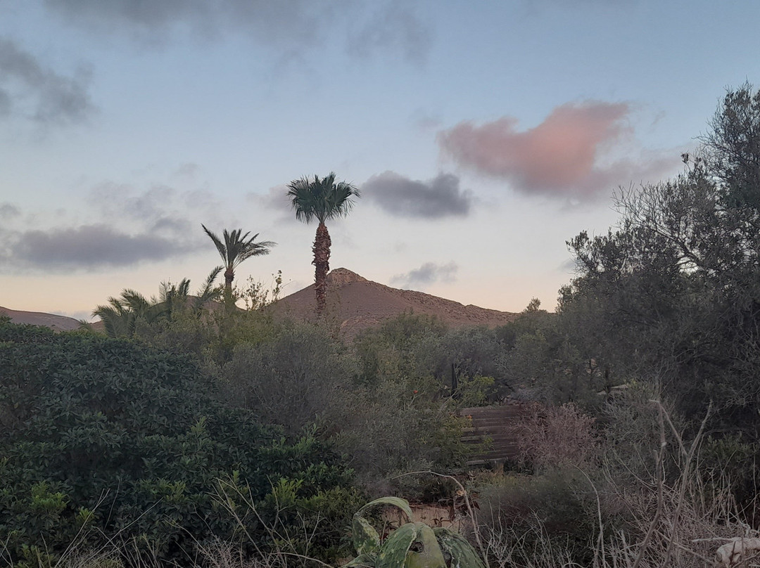 El Jardin De Los Suenos主图