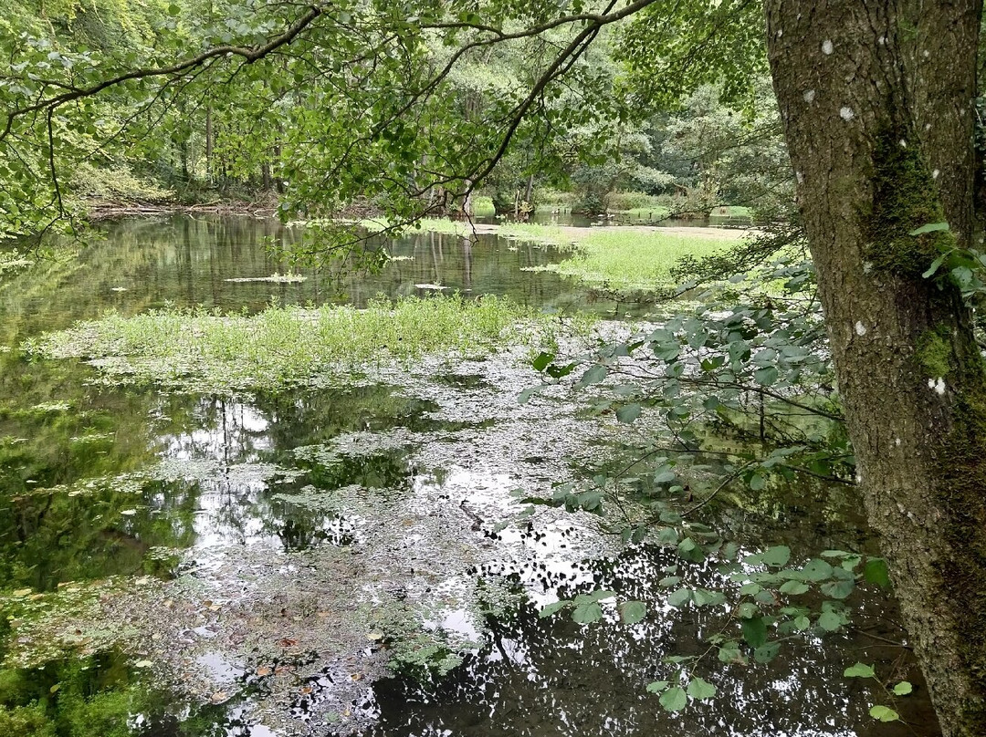 Almequellen-Brilon必去景点