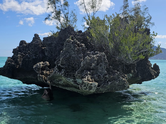 Taxi Ile Maurice Arvin-红地必去景点