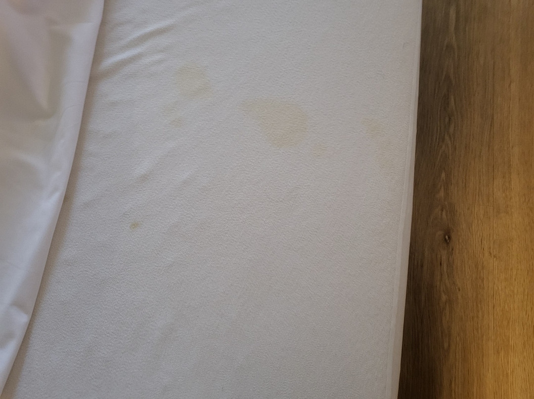 贝斯顿豪华酒店-阿姆斯特市北主图