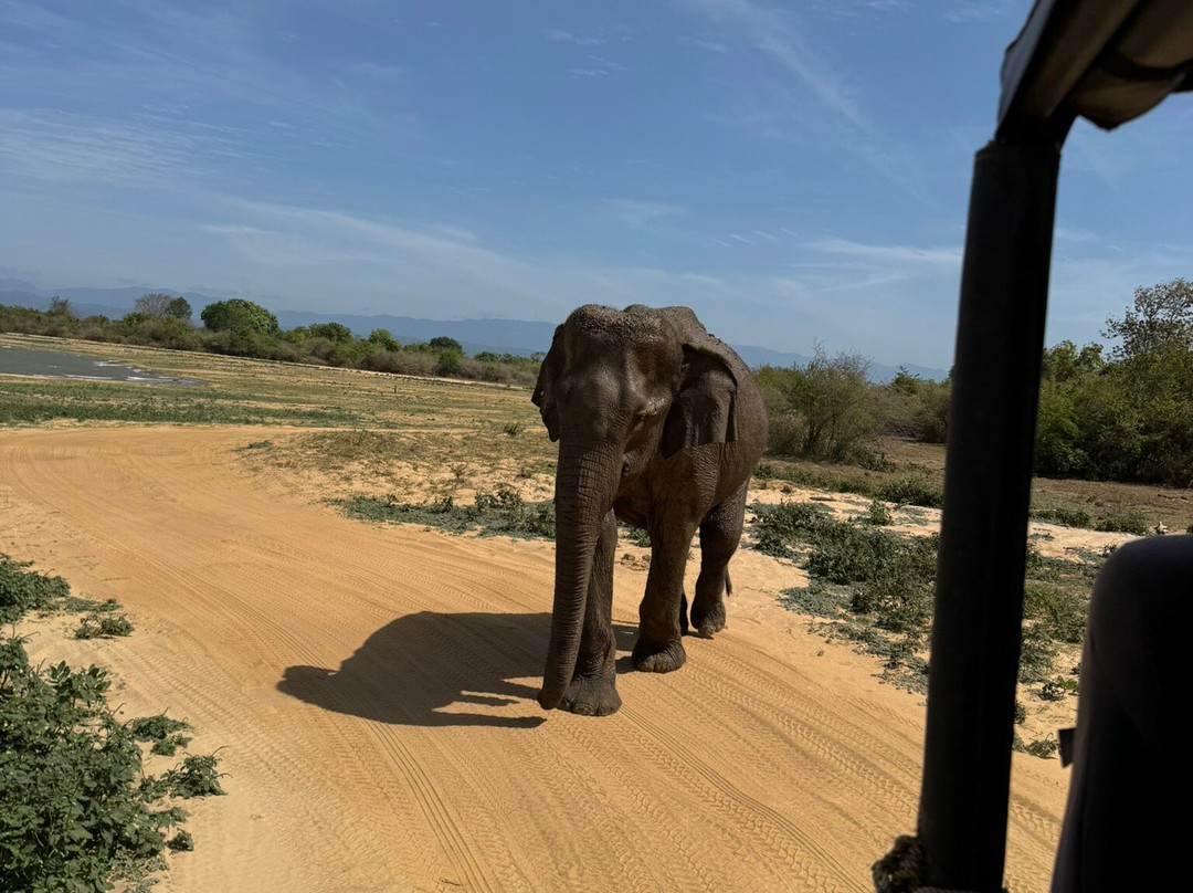 Jetco Lanka Tours-Kiribathgoda必去景点