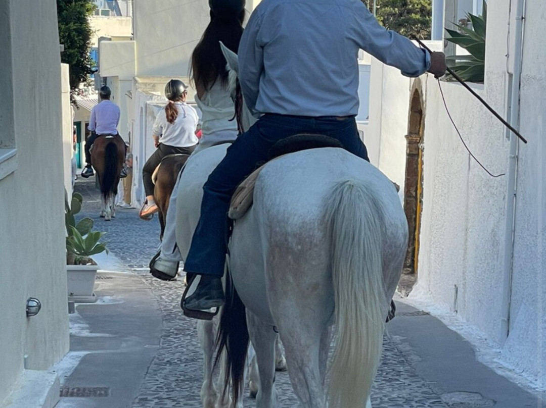 Marryposa Royal Services-卡马里必去景点