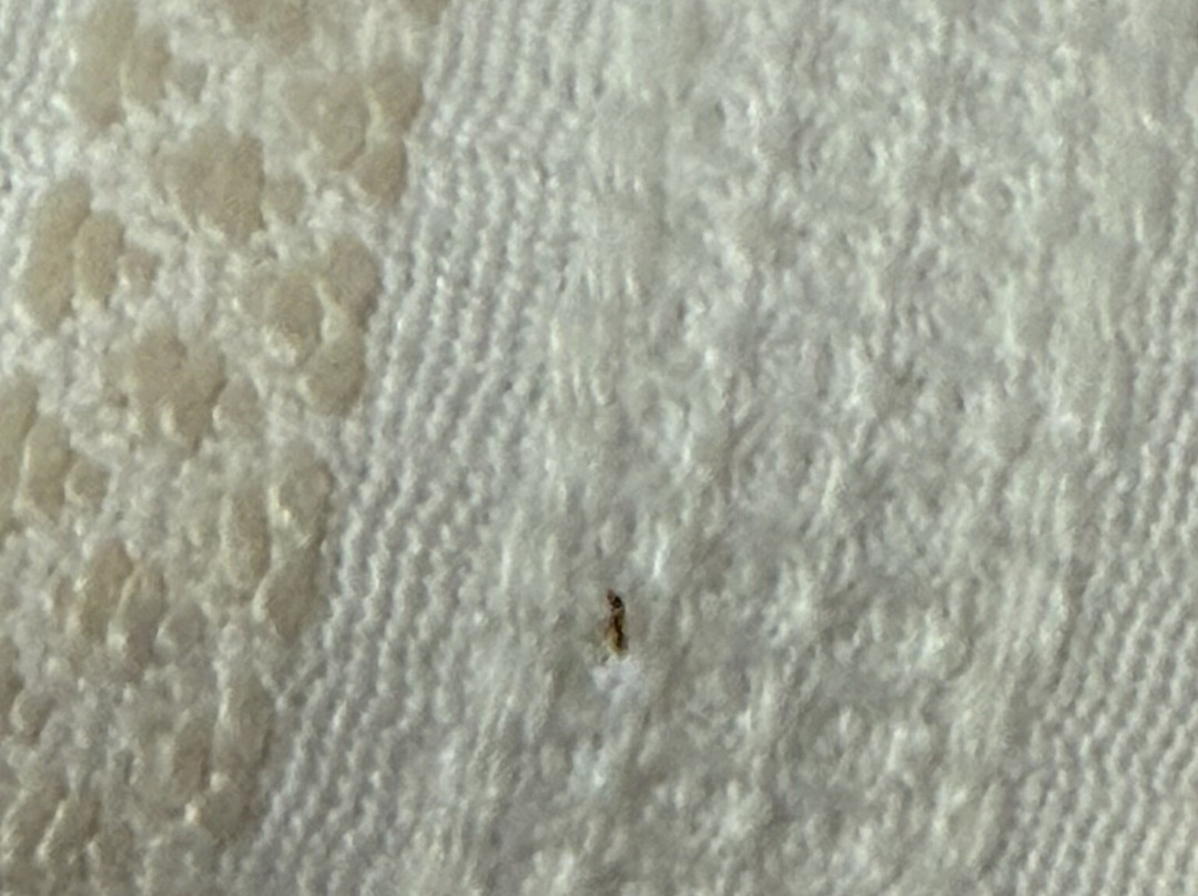 Scaleta Beach Hotel主图