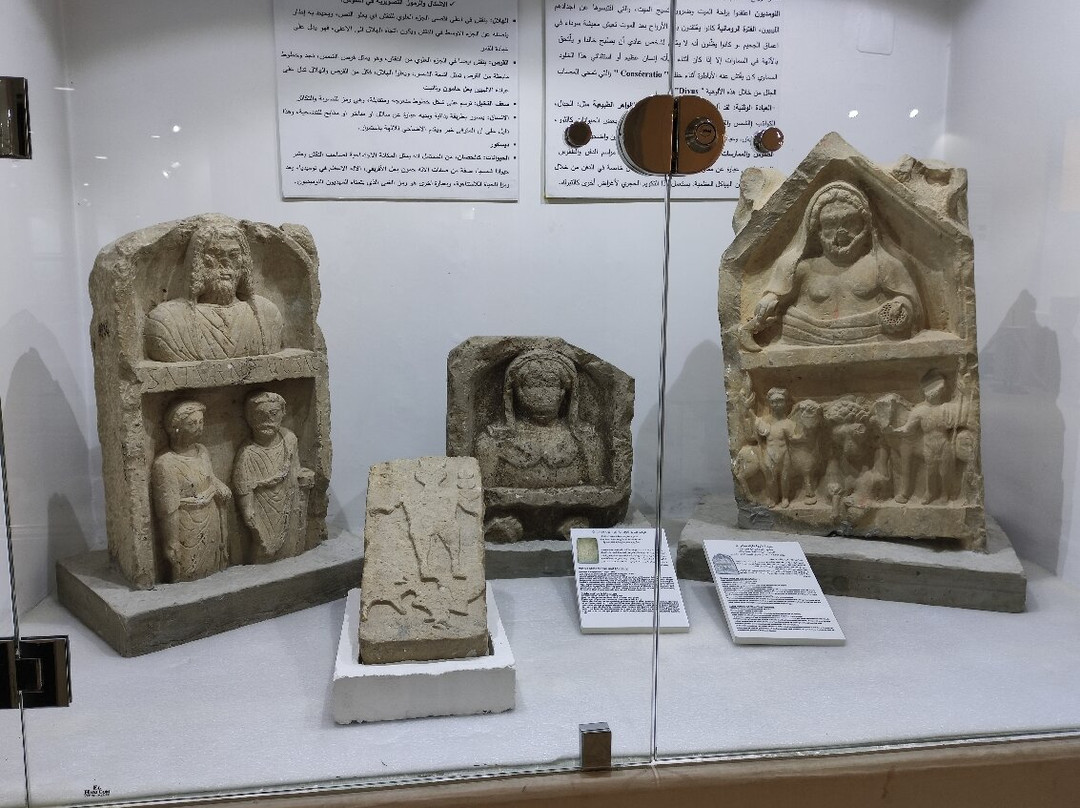 Setif Museum - Musée d'archéologie-Setif必去景点