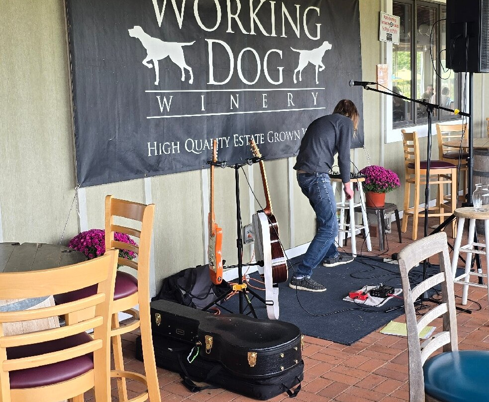 Working Dog Winery-东温莎必去景点