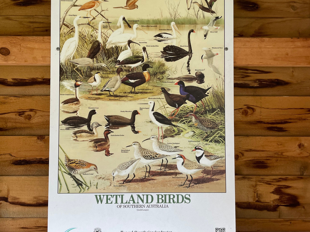 Meeniyan Bird Hide-Meeniyan必去景点