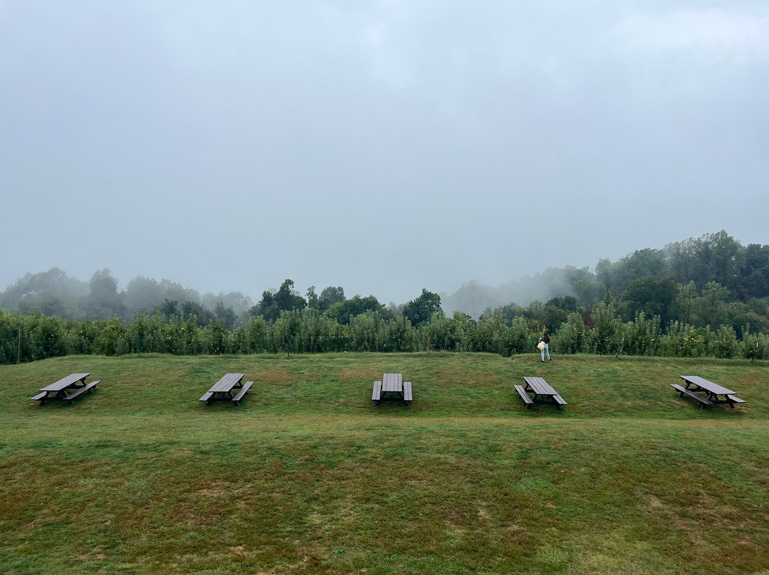 Carter Mountain Orchard-夏洛茨维尔必去景点
