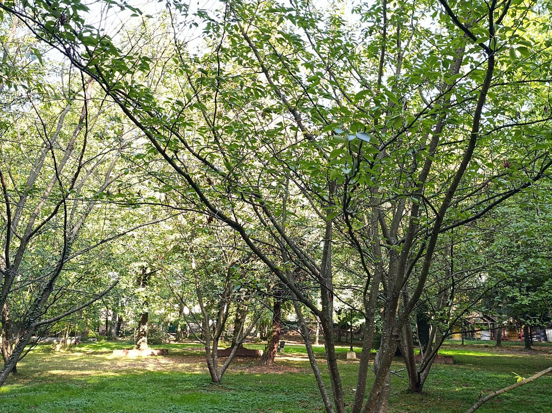 Wat Thammapathip-Moissy-Cramayel必去景点