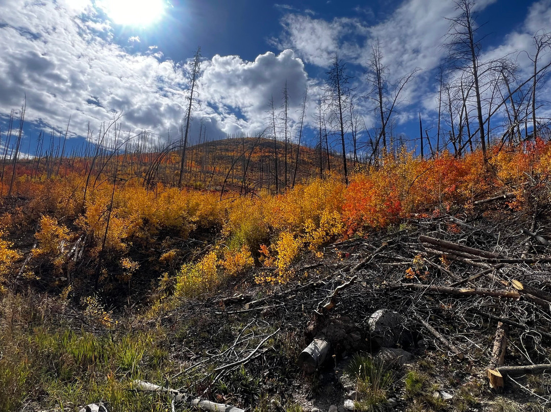 On The Trail Rentals-格兰德湖必去景点