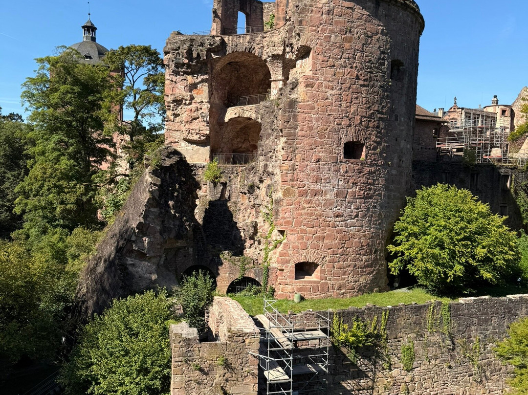 Dicker Turm (Schloss)-海德尔堡必去景点