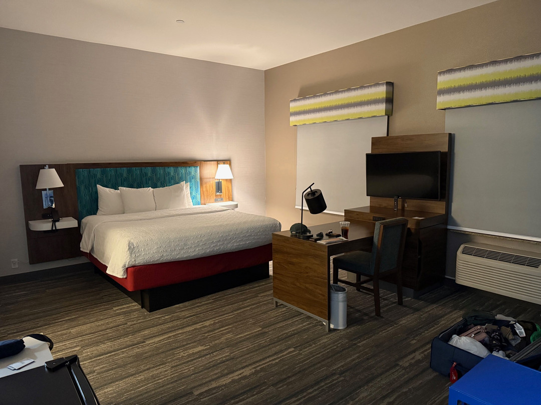 雷德布拉夫希尔顿恒庭旅馆&套房酒店主图