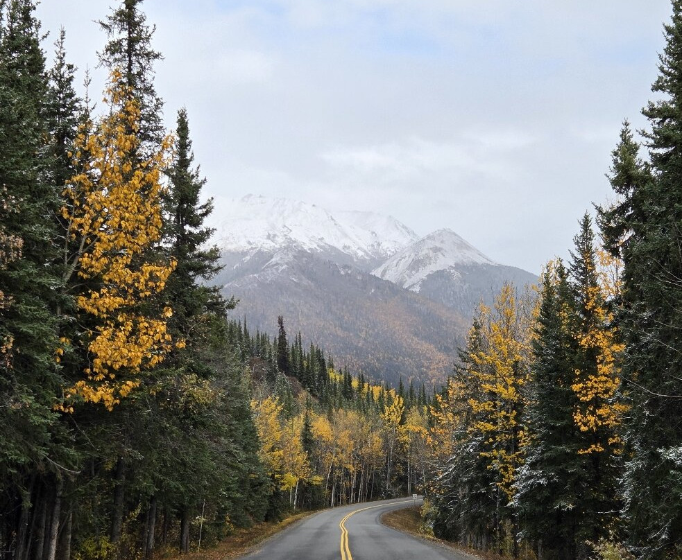 Denali National Park-阿拉斯加必去景点
