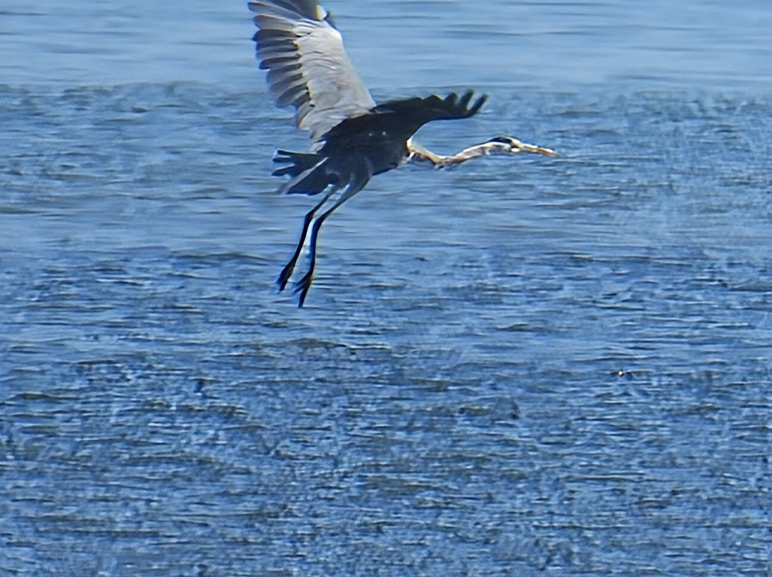 Sabino Boat Tours-奥良必去景点