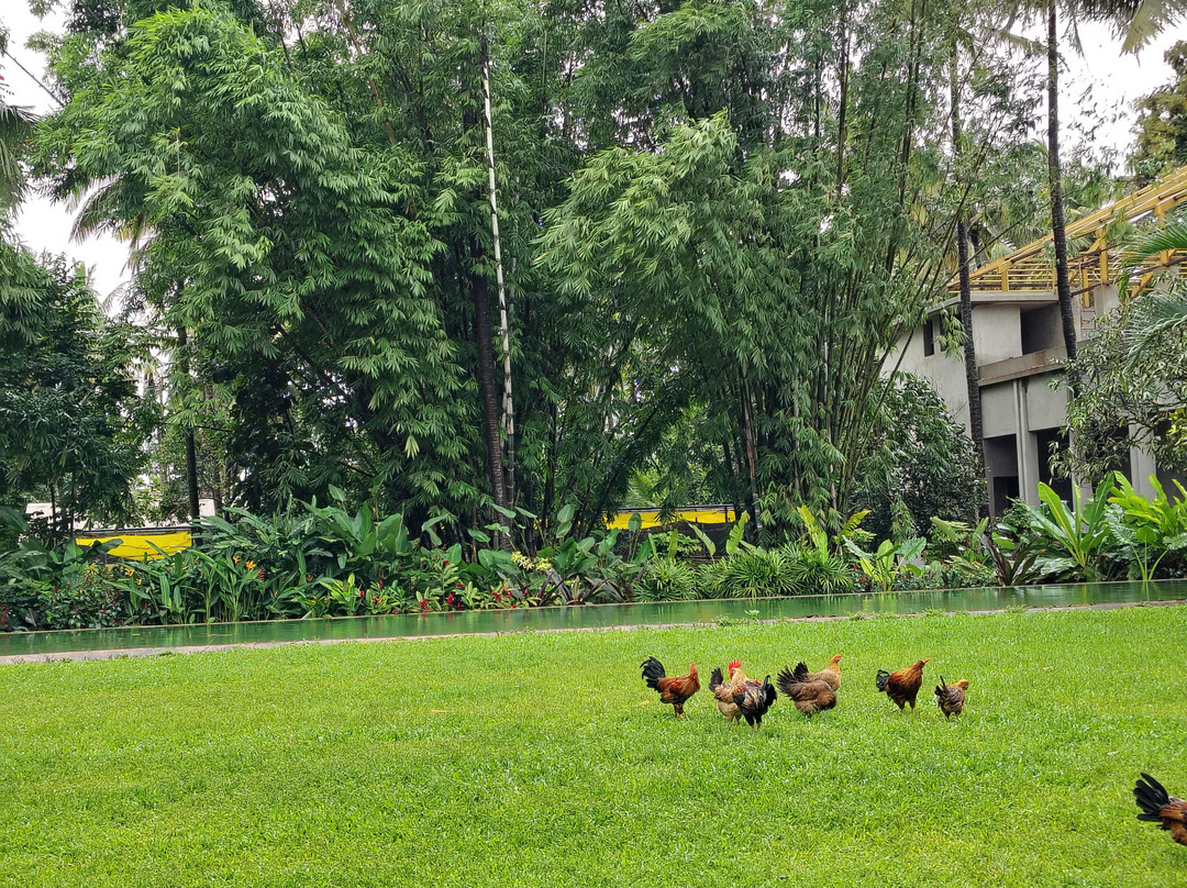 The Orchard Resort主图