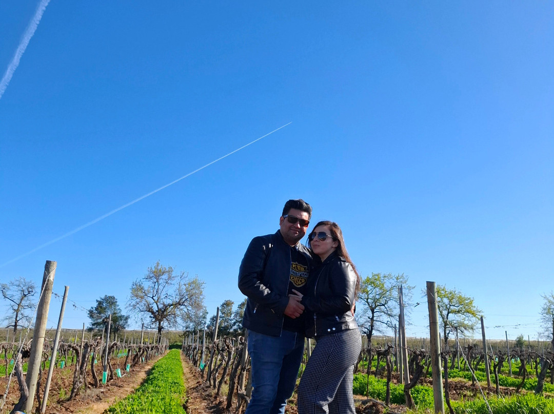 Viña Terranoble-San Clemente必去景点