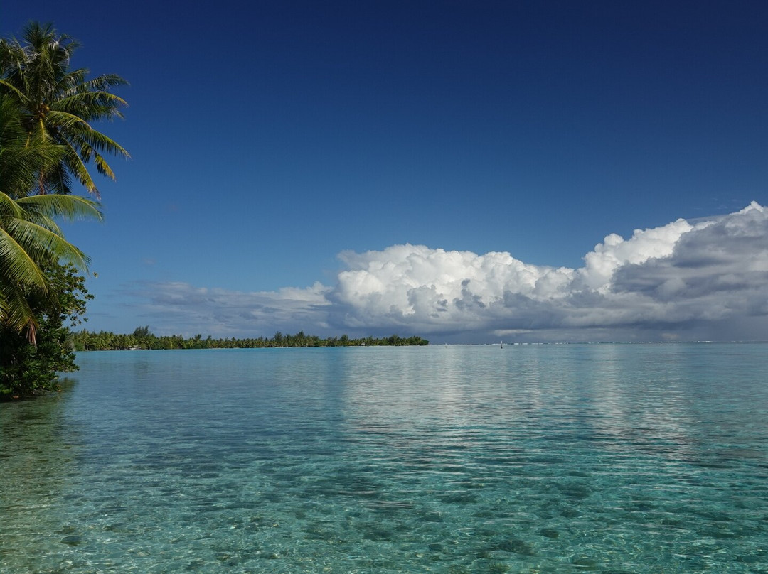 Huahine Dream Tours-Huahine必去景点