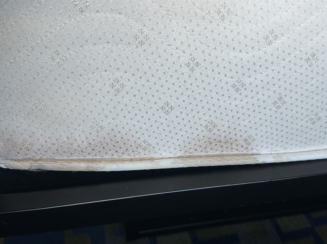 Microtel Inn & Suites by Wyndham Hagerstown主图