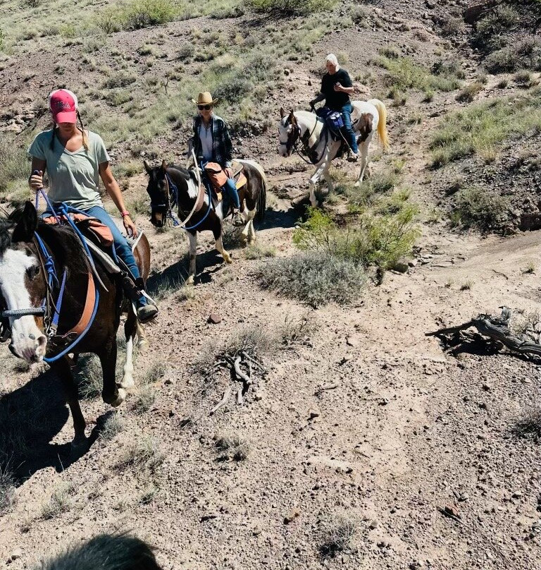 Acacia Riding Adventures-San Acacia必去景点