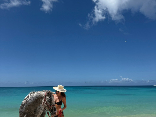 Sandy Turf Stables Barbados-Frere Pilgrim必去景点