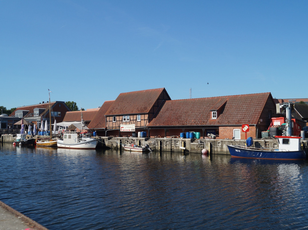 Old Hansa Harbor-维斯马必去景点