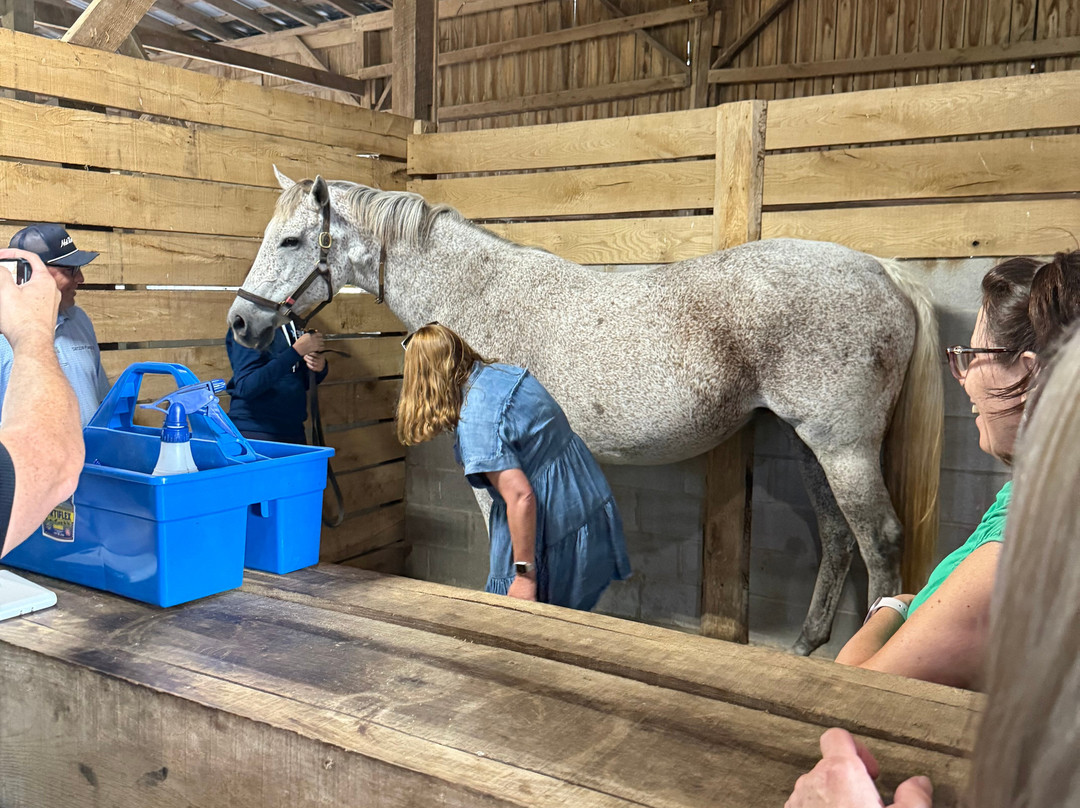 Taylor Made Farm-Nicholasville必去景点