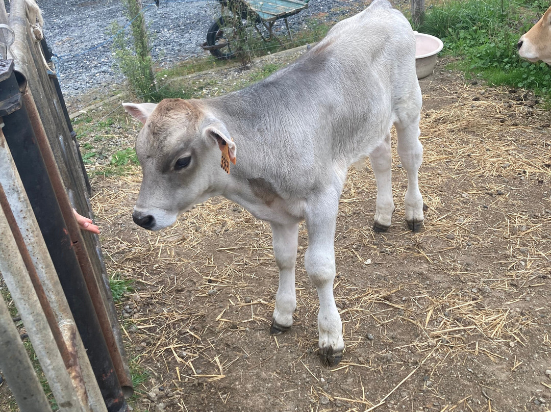 Abbaye Sainte Marie de Boulaur-Boulaur必去景点