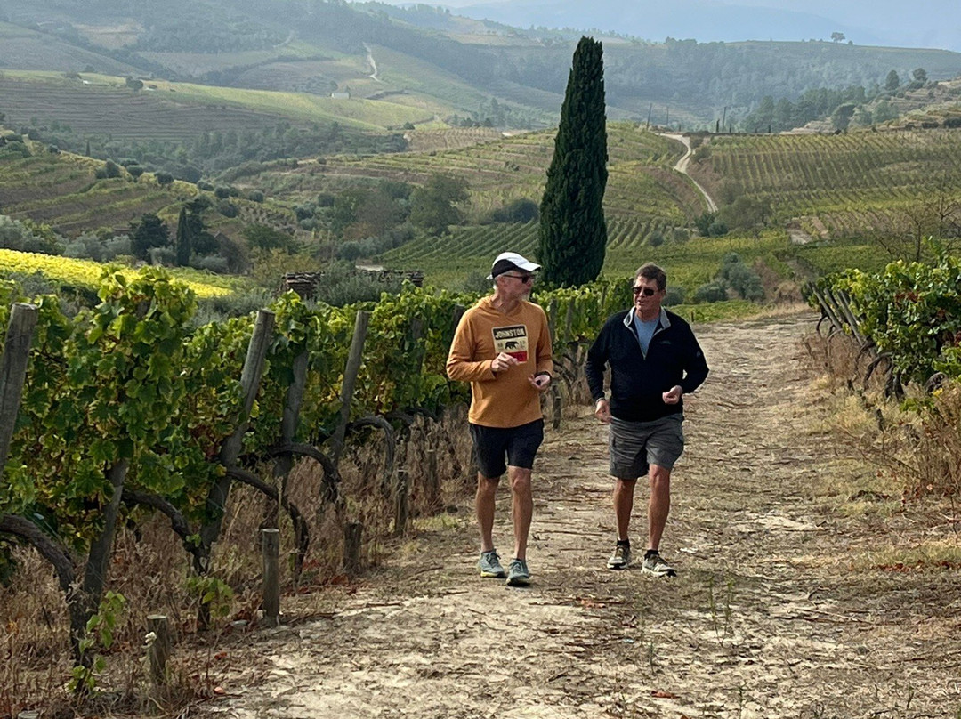 Quinta da Faisca-Favaios必去景点